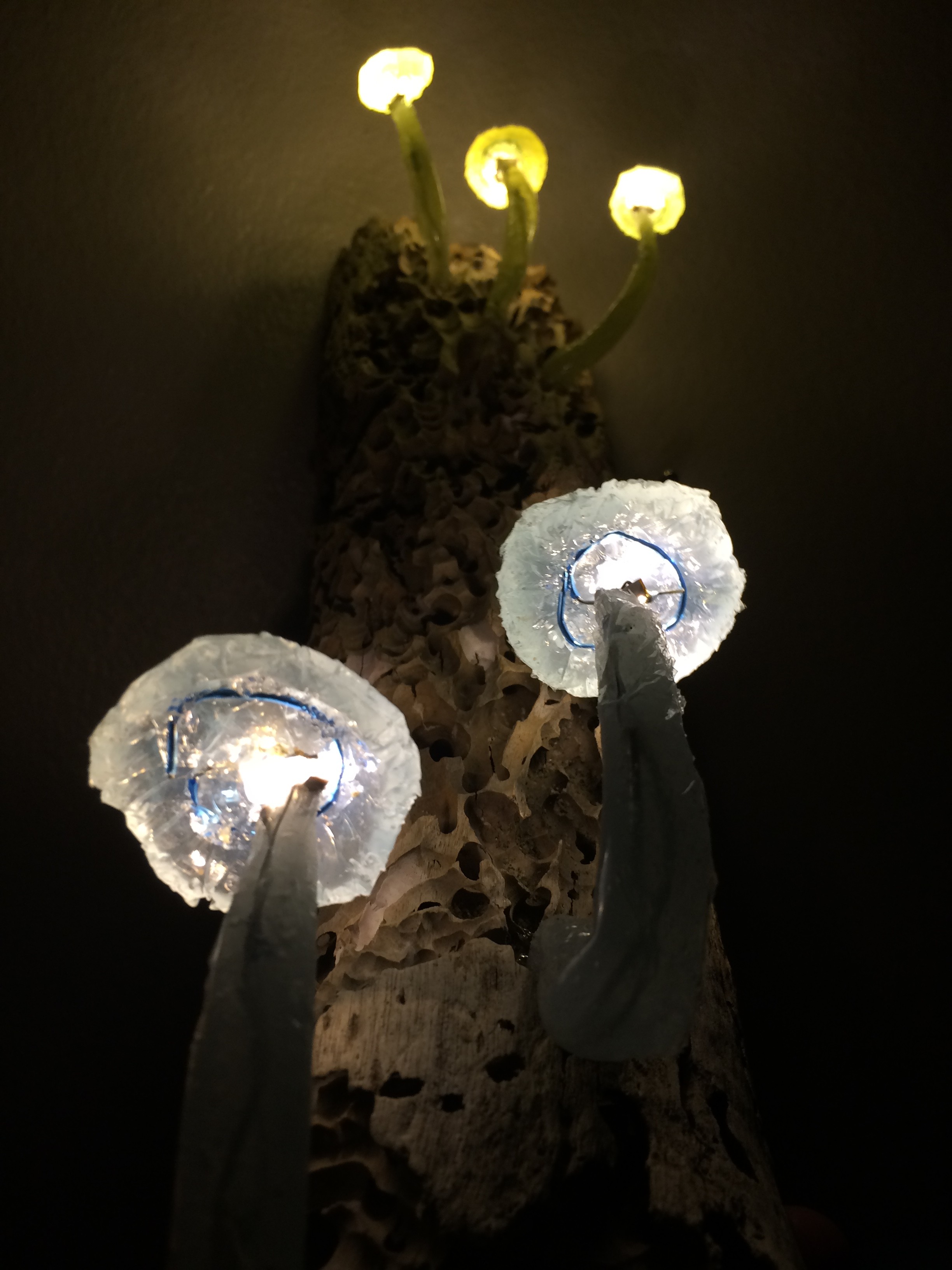 Mushroom Lamp Upcycle Report Aesthetics Of Design Mushroom Lamp Upcycle Report Aesthetics Of Design