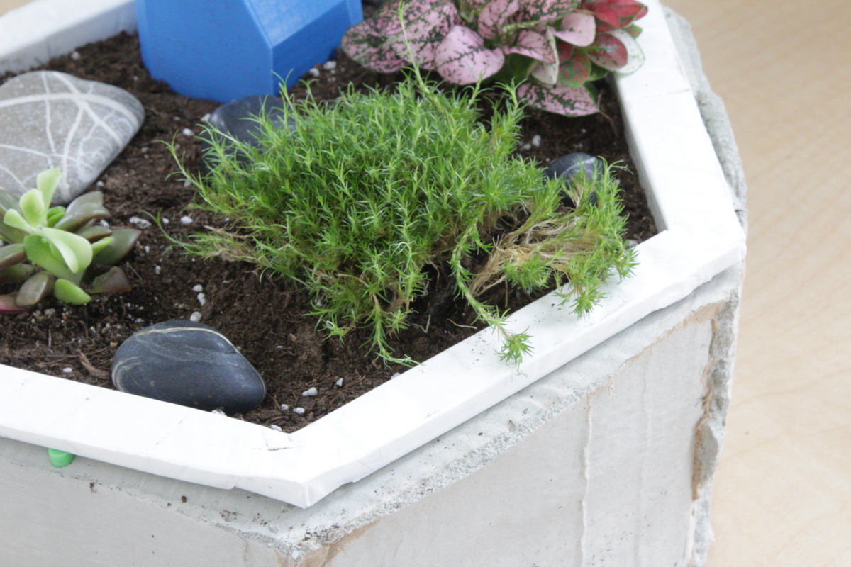 Desk Garden by Ashley Zimmerer Aesthetics of Design