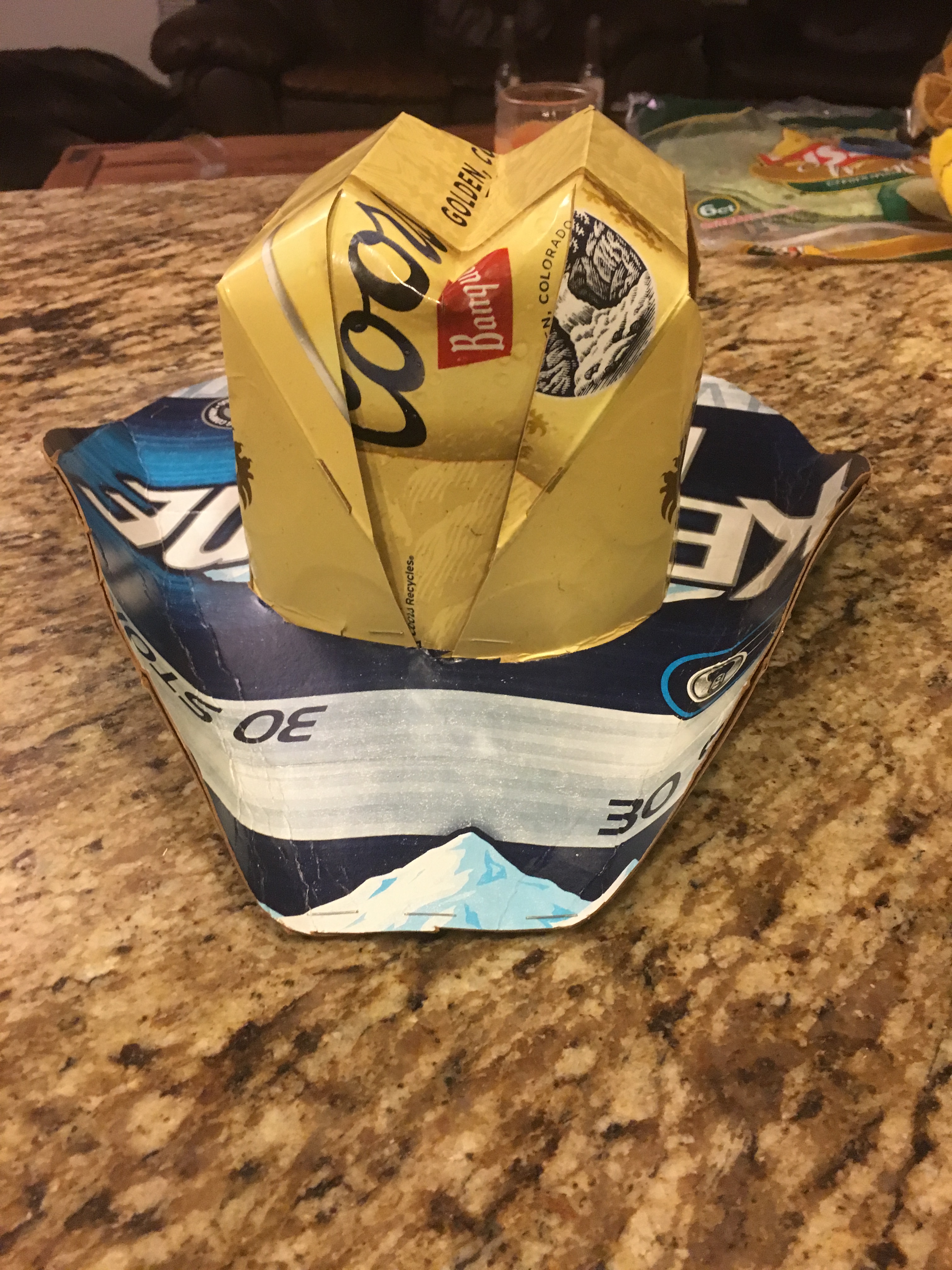 Upcycle Final Report: Cardboard Cowboy 