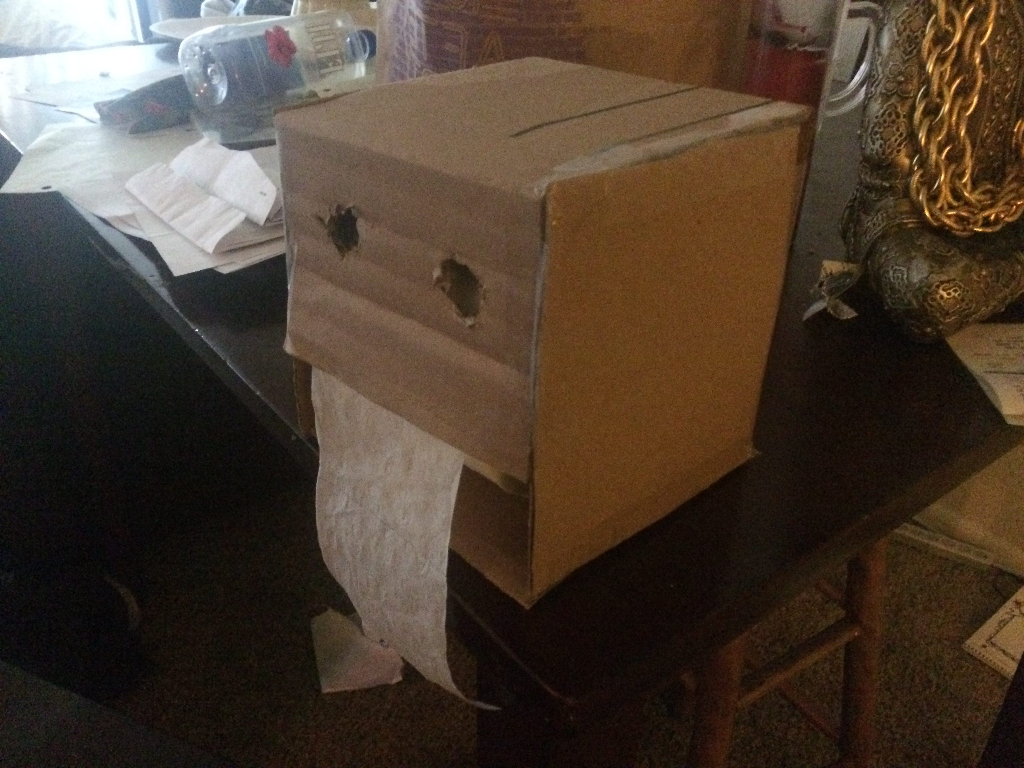 Design Review Toilet Paper Dispenser Aesthetics of Design