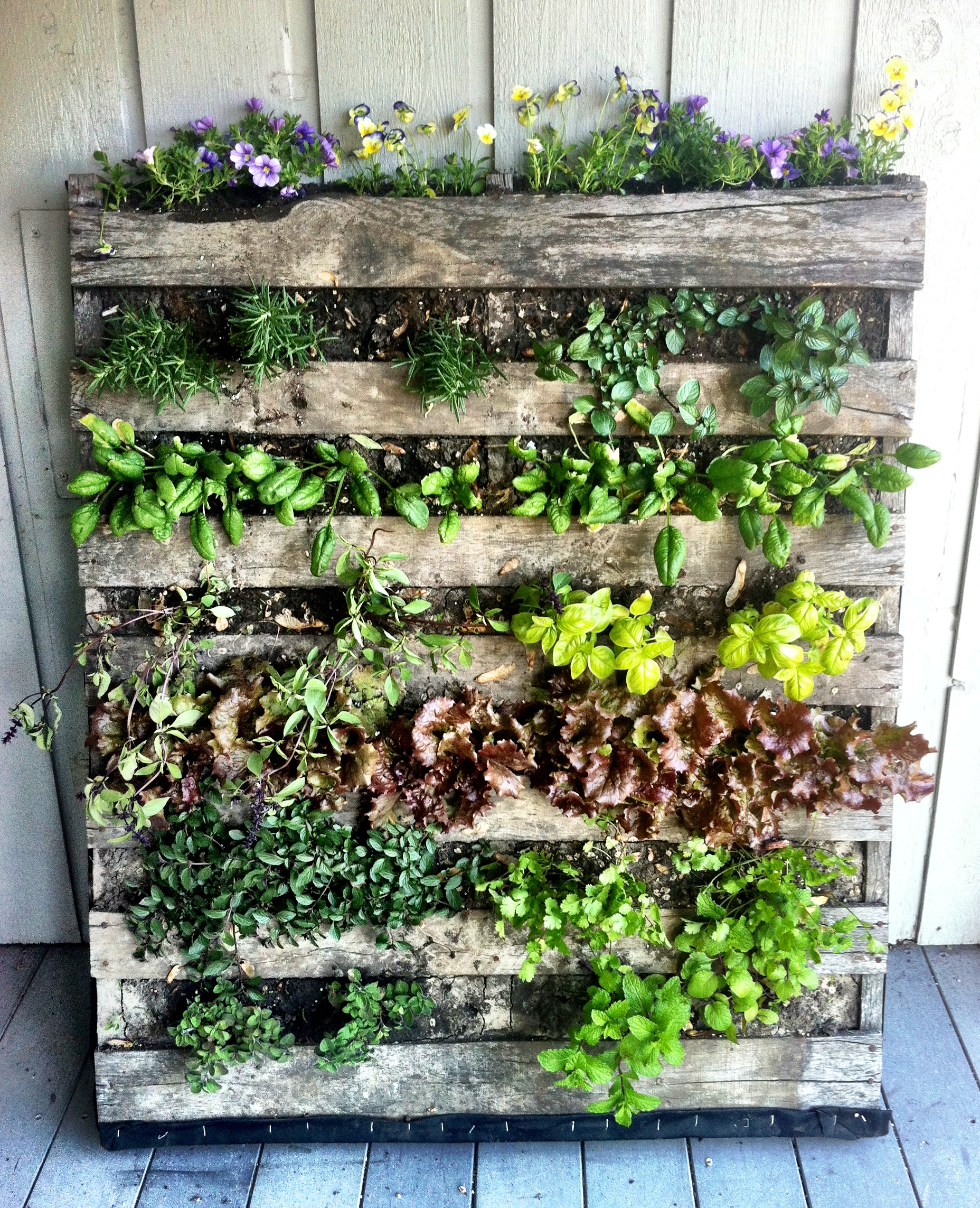 Shipping Pallet Garden Construction Timeline Aesthetics Of Design