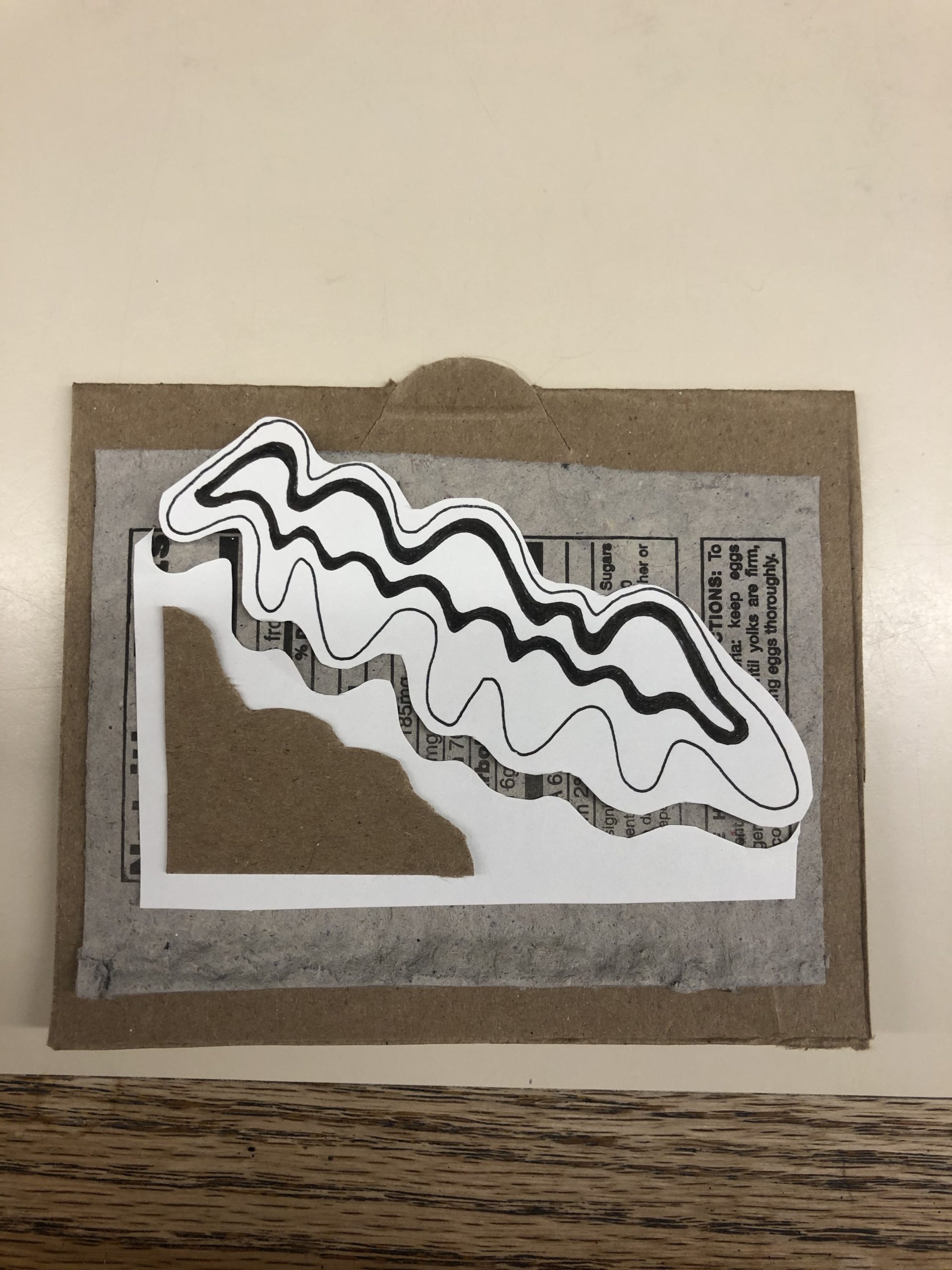 Cardboard Art Aesthetics of Design