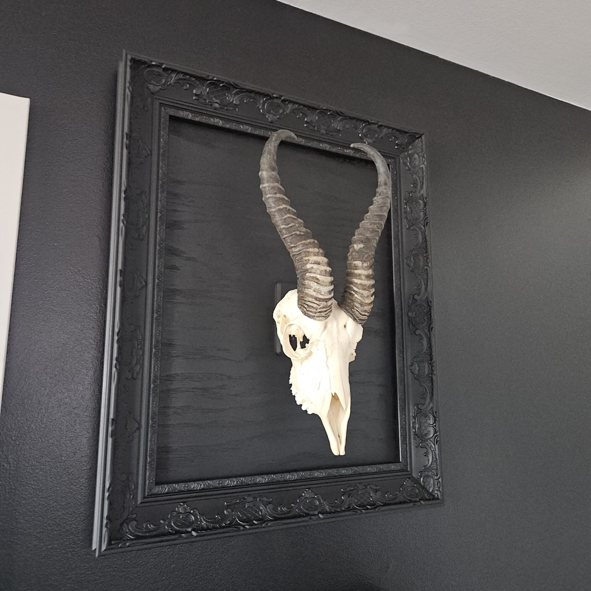 Final Project – Aesthetics of Design